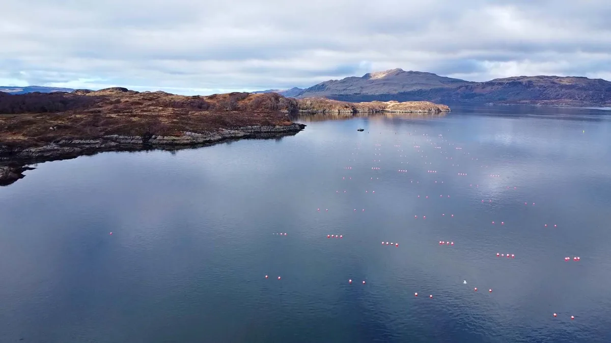 The farm's buoy grid across a Highland sea loch, mountains behind