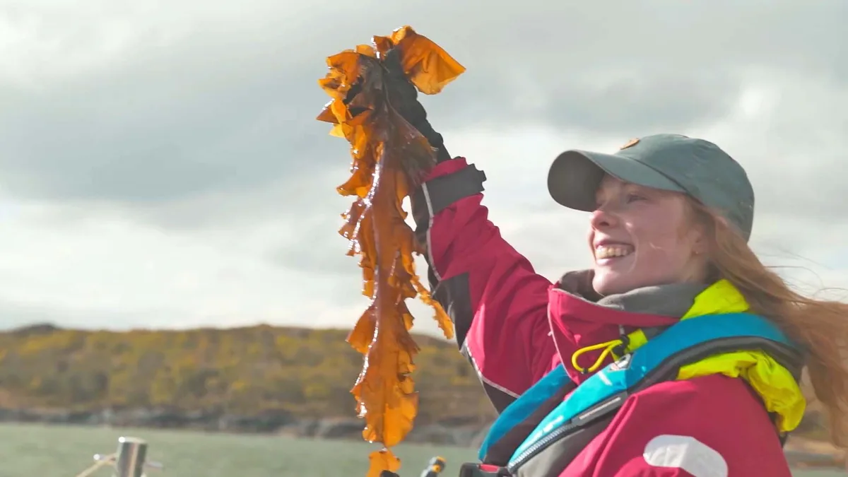 A worker in red waterproofs holding up a length of harvested kelp