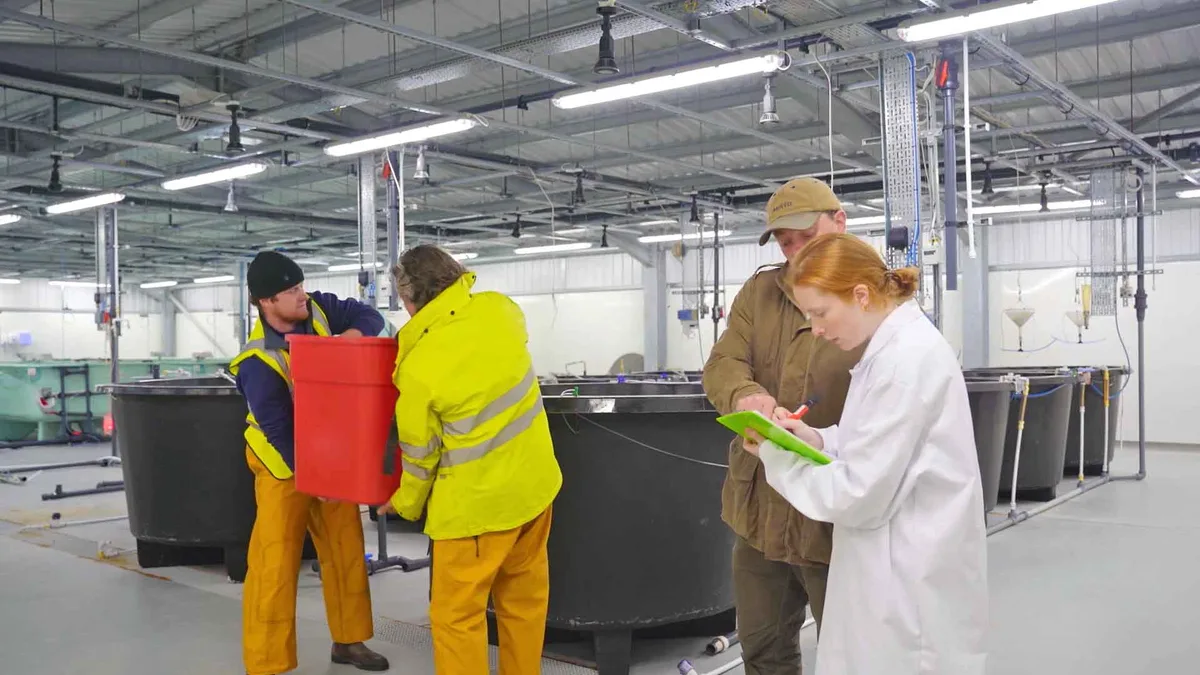 Staff working among the round culture tanks at the Ardtoe hatchery